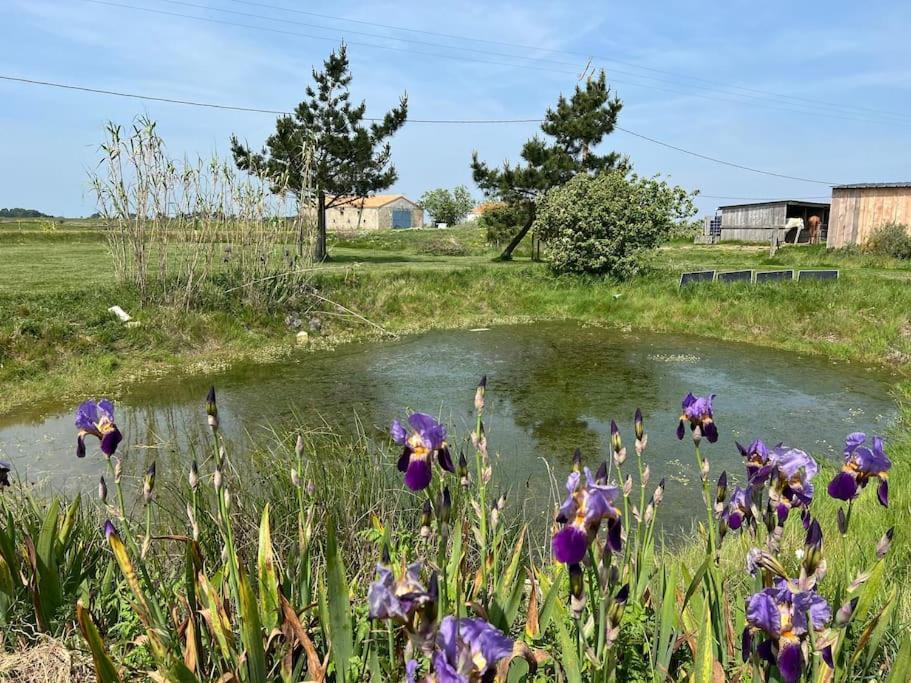 Maison De Charme Au Coeur Des Marais Pour 6 Pers. Bouin  Esterno foto