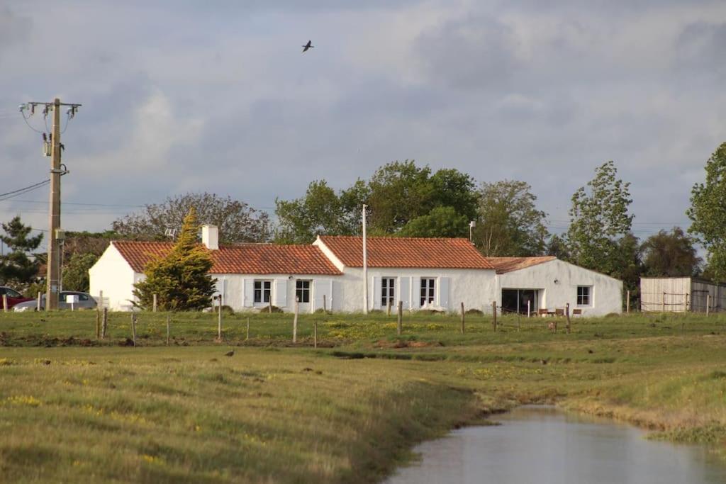 Maison De Charme Au Coeur Des Marais Pour 6 Pers. Bouin  Esterno foto